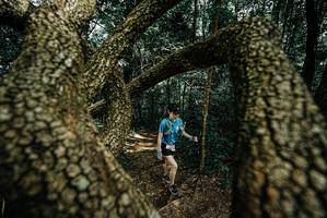 BIB: 
                            <button type="button" onclick="openModal(25703980)" class="btn btn-primary btn-sm float-right btn-popup" data-toggle="modal" data-target=".modal-high-quality">
                        <i class="fas fa-shopping-cart"></i> Add to Cart
                    </button>
                                            <button type="button" onclick="isThisMe(25703980, true)" class="btn btn-success btn-sm float-right btn-popup btn-isme hidden" data-toggle="tooltip" data-placement="bottom" title="นี่คือรูปของคุณใช่ไหม คลิกที่นี่เพื่อเอาเข้าอัลบั้ม">
                        <i class="fas fa-plus"></i> Add to album
                    </button>
                    <button type="button" onclick="isThisMe(25703980, false)" class="btn btn-warning btn-sm float-right btn-popup btn-isnotme hidden">
                        <i class="fas fa-ban"></i> Remove from album
                    </button>